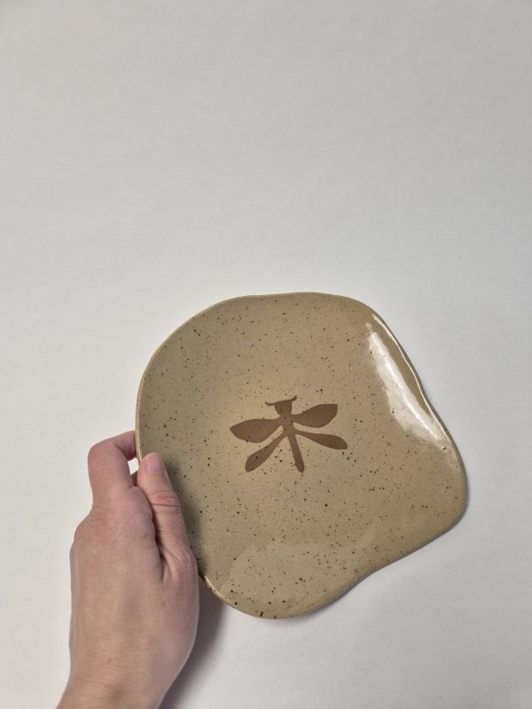 Ceramic plate with dragonfly