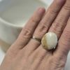 Wood fired ceramic ring